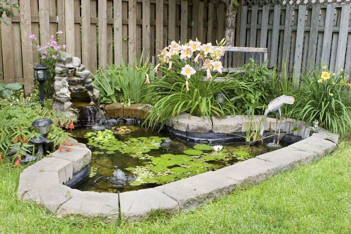 你需要一个允许建立一个池塘在后院吗